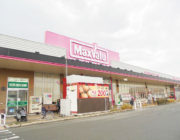 イオンタウン野口（600ｍ）